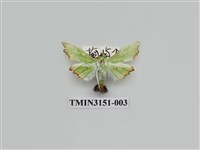 藏品(螟蛾302)的圖片